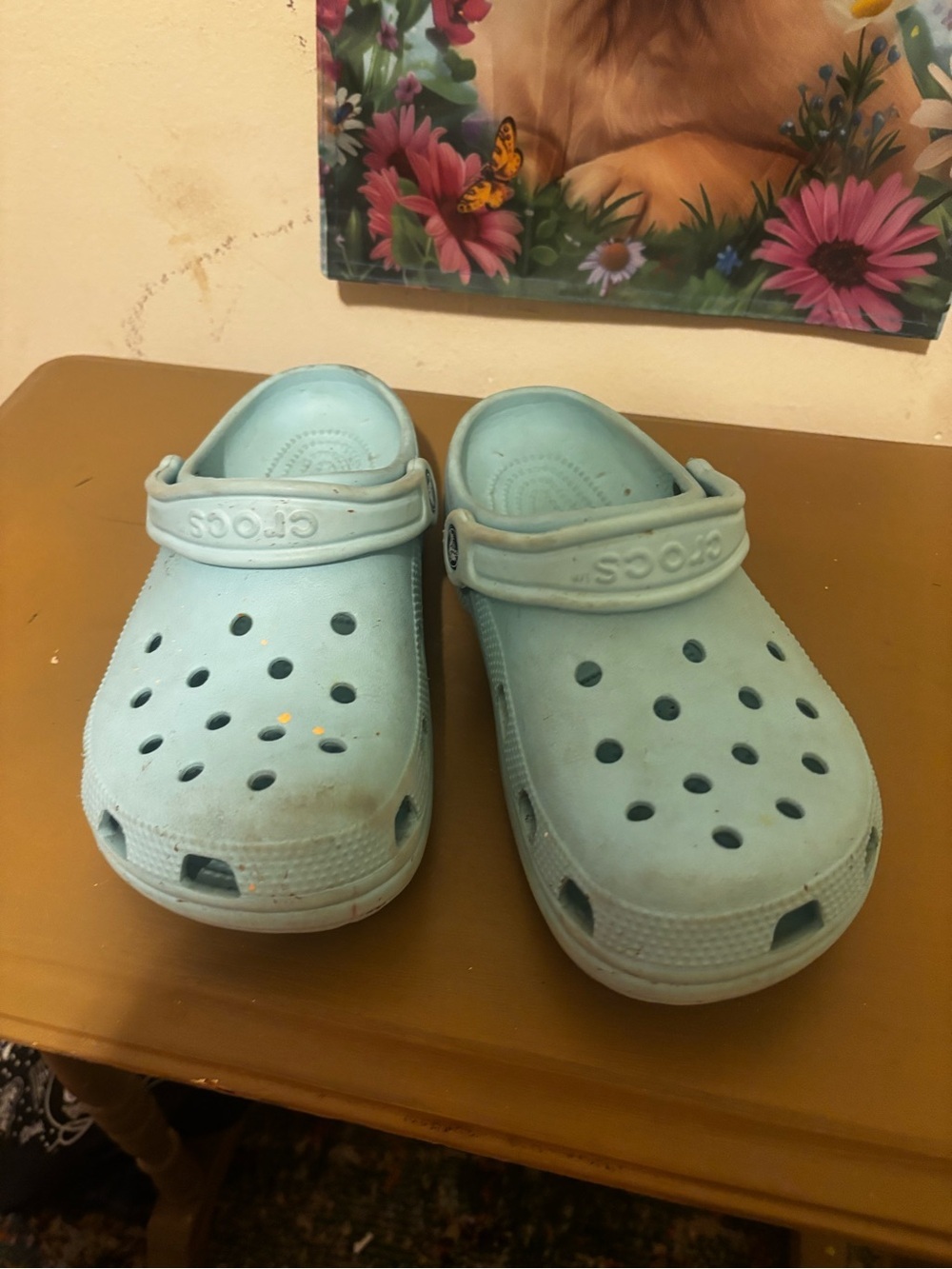 CROCS Light Blue Classic Clog 5/7 - Picture 1 of 7